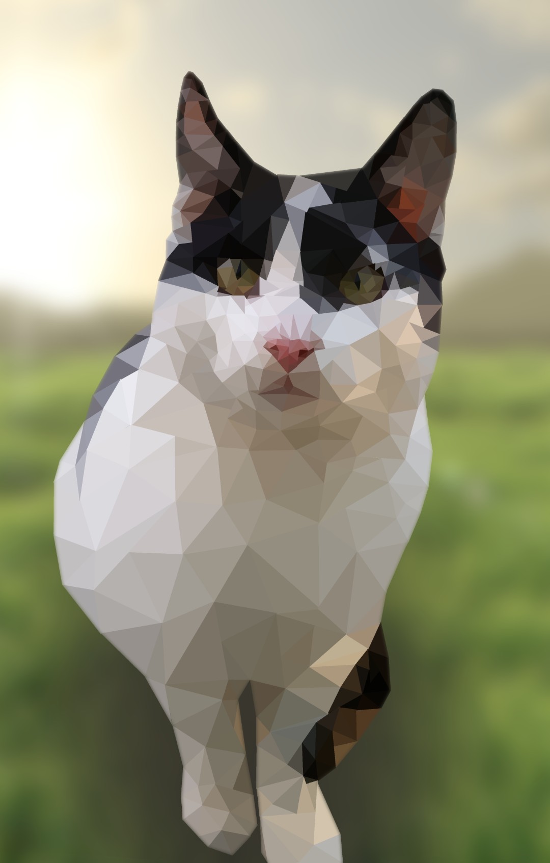 Texture Cat